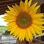 Bio Armonia Feriegård *