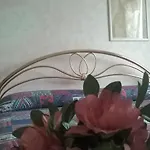 Bio Armonia Montemarciano