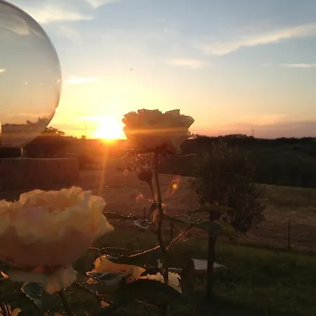 Agriturismo Bio Verde Armonia * مونتيهمارثيانو