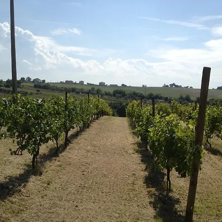 Bio Armonia Farm stay *