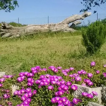 Agriturismo Bio Verde Armonia * مونتيهمارثيانو