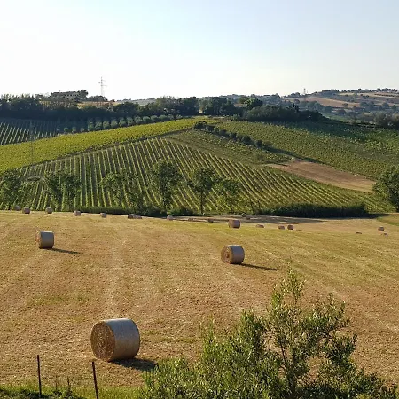 Agriturismo Bio Verde Armonia