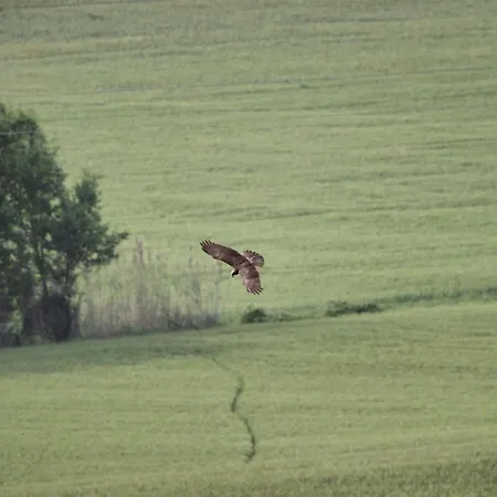 Bio Armonia * Montemarciano