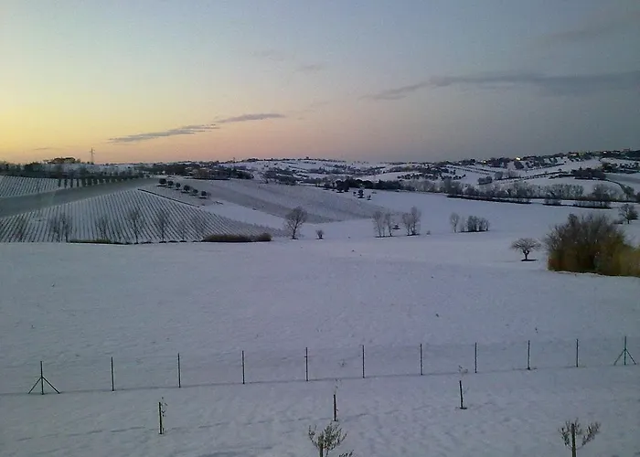 Lantgård Bio Armonia